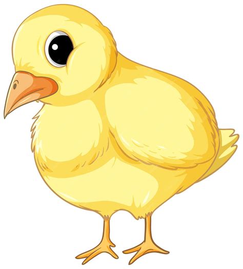 clipart sisiw